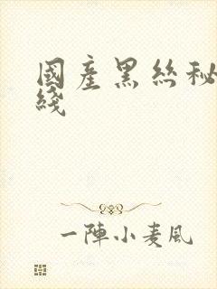 国产黑丝秘书在线