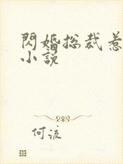 闪婚总裁惹不起小说封面