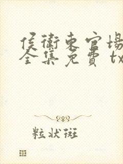 侯卫东官场笔记全集免费 txt 精校