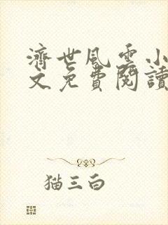 济世风云小说全文免费阅读封面