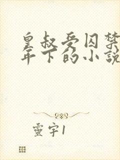 皇叔受囚禁生子年下的小说叫什么