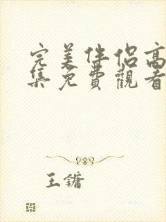 完美伴侣高清全集免费观看封面