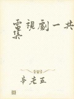 电视剧一共多少集