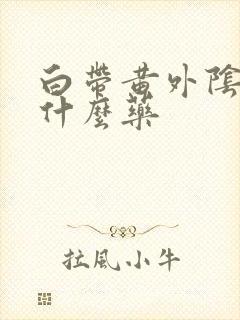 白带黄外阴痒吃什么药