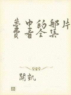 梦中的那片海免费看全集