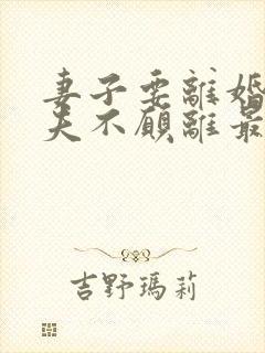 妻子要离婚,丈夫不愿离最后的结果