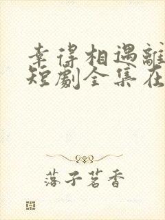 幸得相遇离婚时短剧全集在线观看