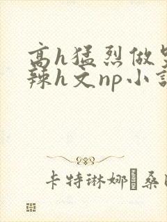 高h猛烈做哭高辣h文np小说封面