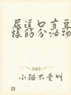 尿道口有豆腐渣样的分泌物封面