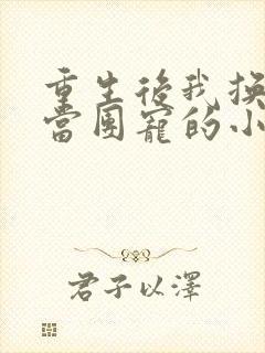 重生后我换一家当团宠的小说