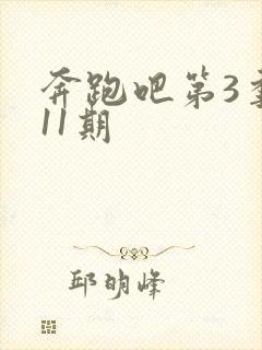 奔跑吧第3季第11期