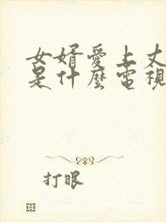 女婿爱上丈母娘是什么电视剧啊封面