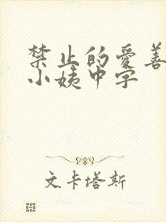 禁止的爱善良的小姨中字