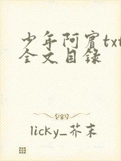 少年阿宾txt全文目录封面