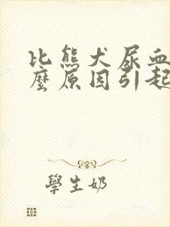 比熊犬尿血是什么原因引起的