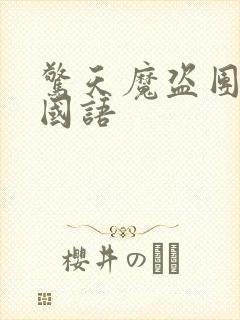 惊天魔盗团2 国语