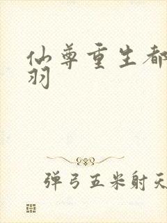 仙尊重生都市凌羽