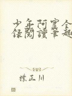 少年阿宾全文目录阅读笔趣阁