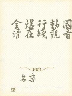 金爆行动国语高清在线观看