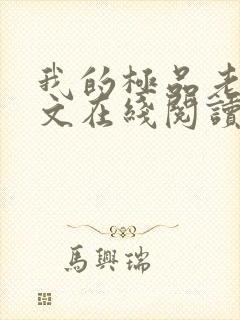 我的极品老婆全文在线阅读封面