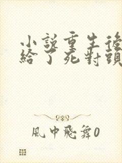 小说重生后我嫁给了死对头完整版