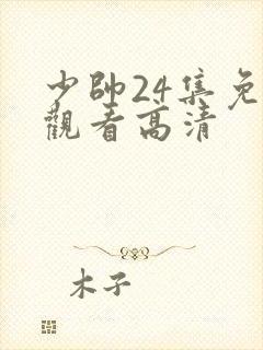 少帅24集免费观看高清