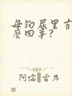 母狗尿里有血怎么回事?封面