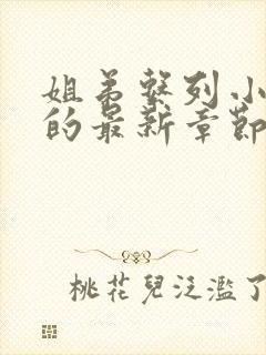 姐弟系列小说集的最新章节内容