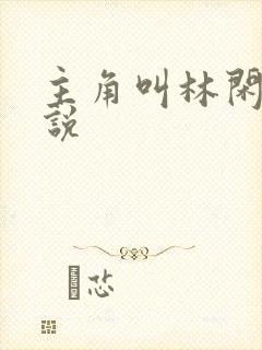 主角叫林闲的小说