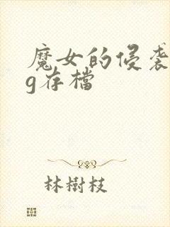 魔女的侵袭全cg存档