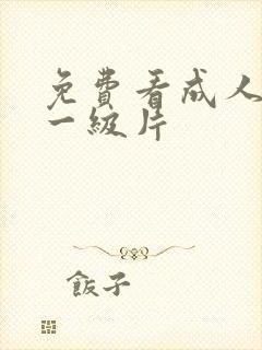 免费看成人黄色一级片