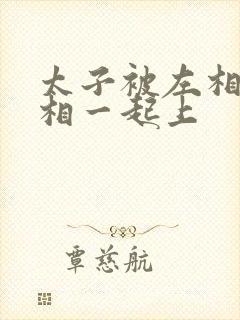 太子被左相和右相一起上