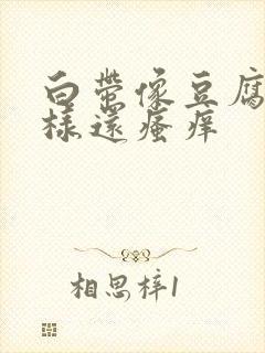 白带像豆腐渣一样还瘙痒