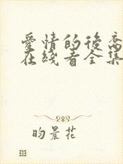 爱情的后裔韩剧在线看全集免费播放