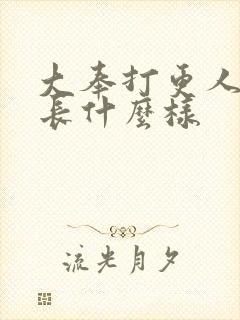 大奉打更人钟璃长什么样封面