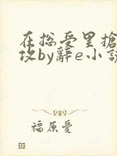 在总受里抢主角攻by辞e小说封面