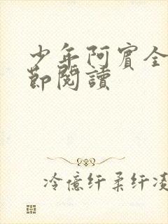 少年阿宾全文章节阅读封面