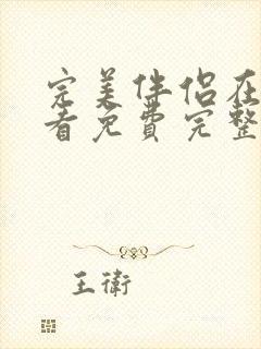 完美伴侣在线观看免费完整版高清