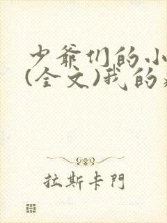 少爷们的小男仆(全文)我的病弱老婆封面