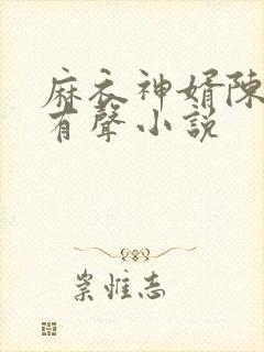 麻衣神婿陈黄皮有声小说