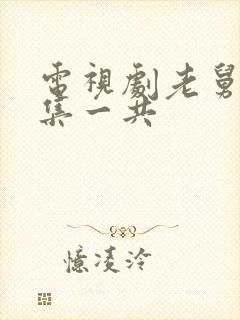 电视剧老舅多少集一共