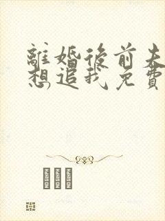 离婚后前夫总是想追我免费阅读全文封面