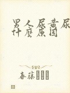 男人尿黄尿臭是什么原因