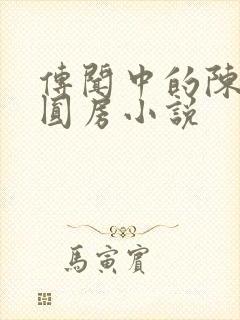 传闻中的陈芊芊圆房小说