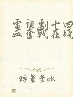 电视剧十四年浴血奋战在线观看