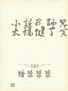 小说我师兄实在太稳健了完本