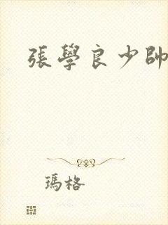 张学良少帅府封面