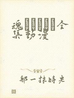 魂ィンサート全集动漫