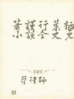 萧谨行叶栖迟的小说全文免费阅读封面