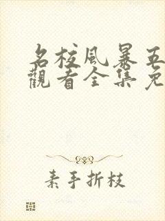 名校风暴五在线观看全集免费封面